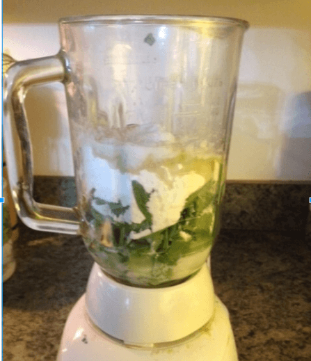 blender for St. Patrick's Day pancakes