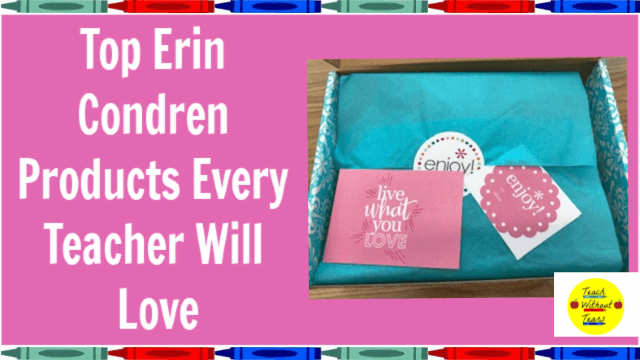 Are you looking for fun teaching supplies that will keep you organized? Check out these Erin Condren products every teacher will love.