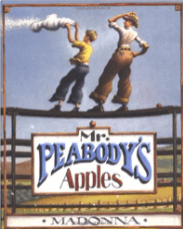 Mr. Peabody's Apples is a great book to use to teach summarizing and finding themes.