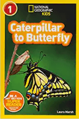 Caterpillar to Butterfly to teach text structures