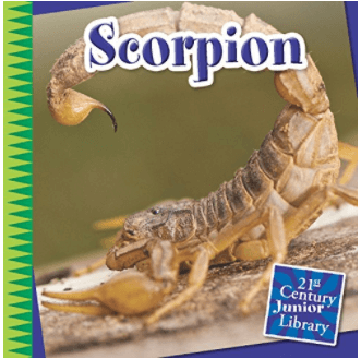 Use the book "Scorpion" to compare and contrast informational texts.