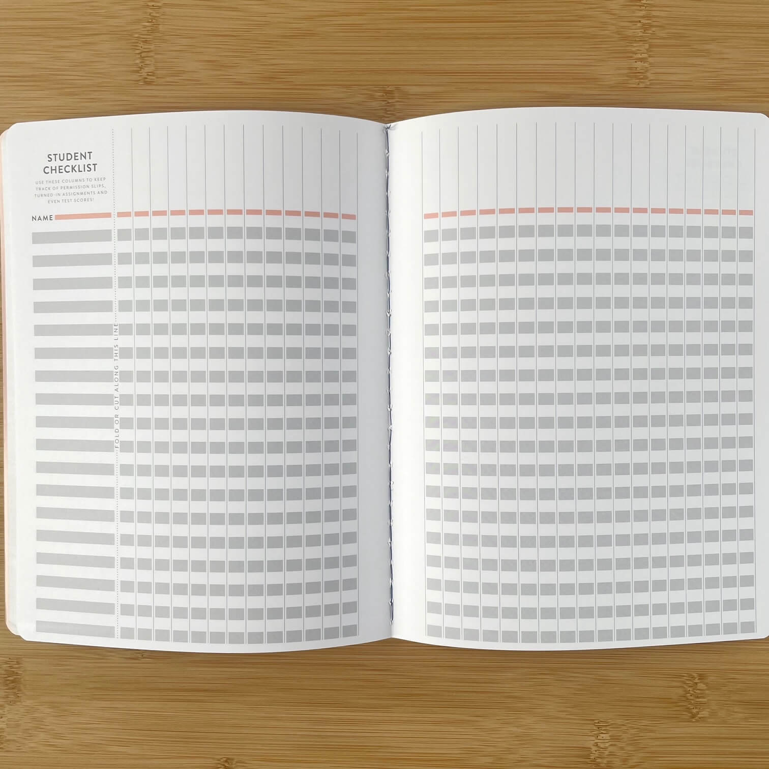 The Erin Condren Teacher Record Book has so many checklists.